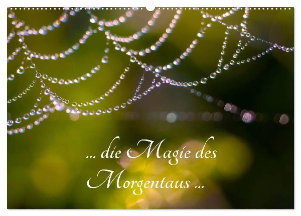 ... die Magie des Morgentaus ... (Wandkalender 2026 DIN A2 quer), CALVENDO Monatskalender