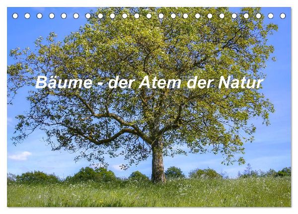 Bäume, der Atem der Natur (Tischkalender 2026 DIN A5 quer), CALVENDO Monatskalender