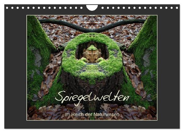 Spiegelwelten - Im Reich der Naturwesen (Wandkalender 2026 DIN A4 quer), CALVENDO Monatskalender