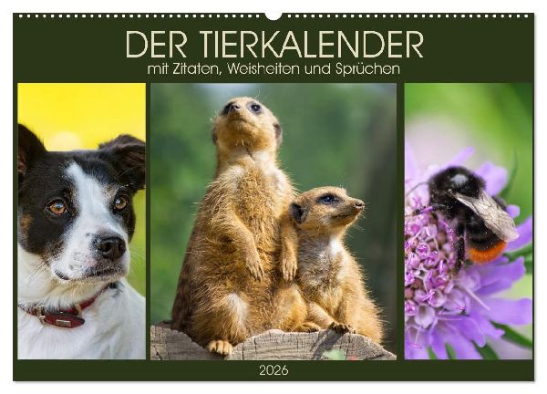 Der Tierkalender mit Zitaten, Weisheiten und Sprüchen (Wandkalender 2026 DIN A2 quer), CALVENDO Monatskalender