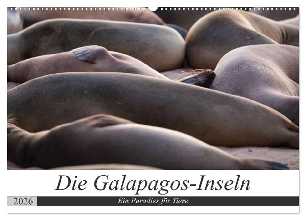 Galapagos-Inseln - Ein Paradies für Tiere (Wandkalender 2026 DIN A2 quer), CALVENDO Monatskalender