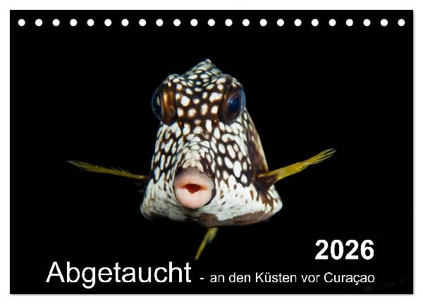 Abgetaucht - an den Küsten vor Curaçao (Tischkalender 2026 DIN A5 quer), CALVENDO Monatskalender