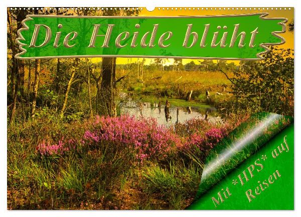 Die Heide blüht (Wandkalender 2026 DIN A2 quer), CALVENDO Monatskalender
