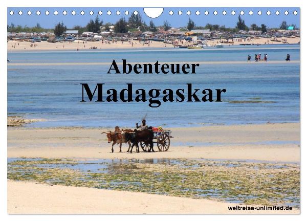 Abenteuer Madagaskar (Wandkalender 2026 DIN A4 quer), CALVENDO Monatskalender
