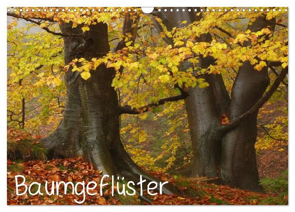 Baumgeflüster (Wandkalender 2026 DIN A3 quer), CALVENDO Monatskalender