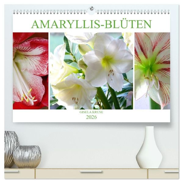 Amaryllis-Blüten (hochwertiger Premium Wandkalender 2026 DIN A2 quer), Kunstdruck in Hochglanz