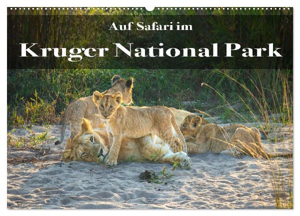 Auf Safari im Kruger National Park (Wandkalender 2026 DIN A2 quer), CALVENDO Monatskalender