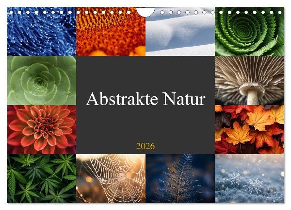 Abstrakte Natur (Wandkalender 2026 DIN A4 quer), CALVENDO Monatskalender