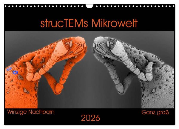 strucTEMs Mikrowelt - Winzige Nachbarn ganz groß (Wandkalender 2026 DIN A3 quer), CALVENDO Monatskalender