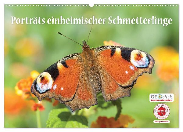 GEOclick Lernkalender: Porträts einheimischer Schmetterlinge (Wandkalender 2026 DIN A2 quer), CALVENDO Monatskalender