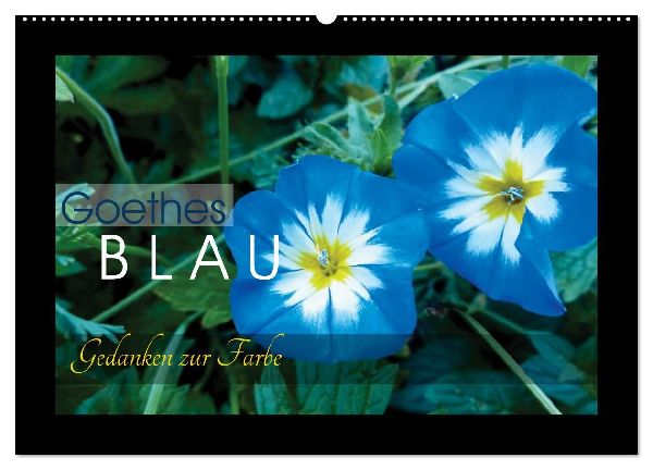 Goethes Blau. Gedanken zur Farbe (Wandkalender 2026 DIN A2 quer), CALVENDO Monatskalender