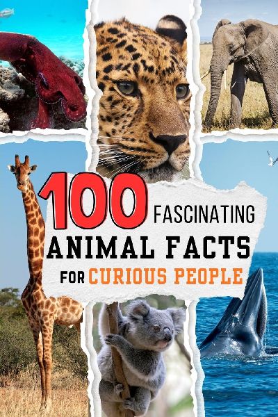 100 Fascinating Animal Facts for Curious People