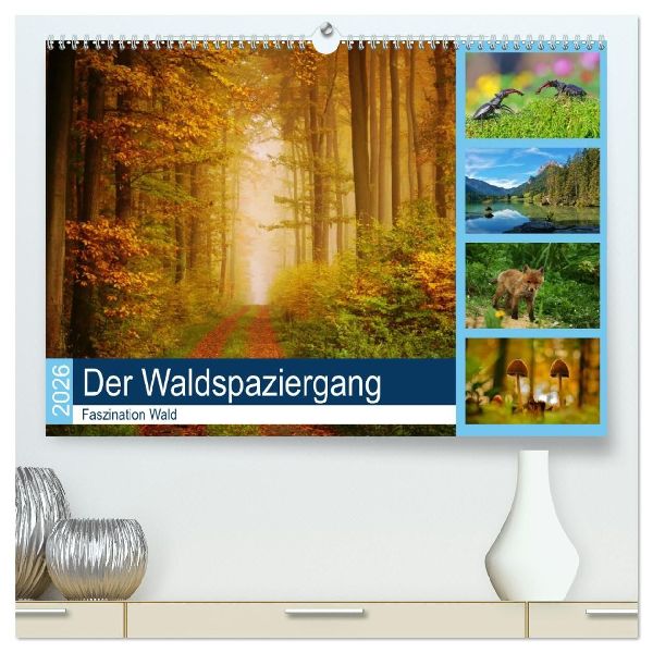 Der Waldspaziergang (hochwertiger Premium Wandkalender 2026 DIN A2 quer), Kunstdruck in Hochglanz
