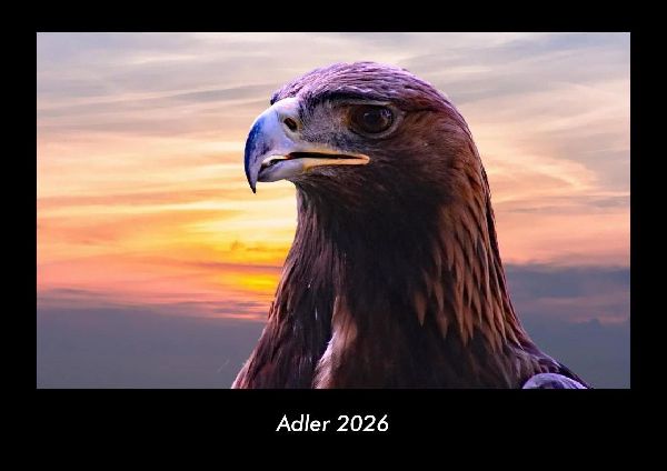 Adler 2026 Fotokalender DIN A3