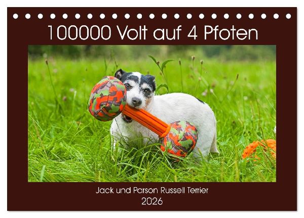 100000 Volt auf vier Pfoten - Jack und Parson Russell Terrier (Tischkalender 2026 DIN A5 quer), CALVENDO Monatskalender