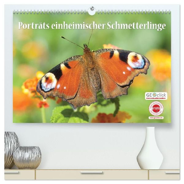 GEOclick Lernkalender: Porträts einheimischer Schmetterlinge (hochwertiger Premium Wandkalender 2026 DIN A2 quer), Kunstdruck in Hochglanz