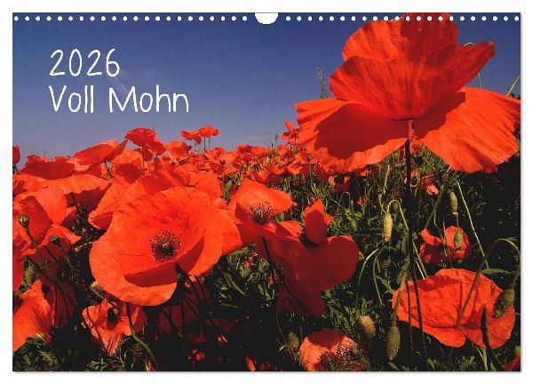 Voll Mohn (Wandkalender 2026 DIN A3 quer), CALVENDO Monatskalender