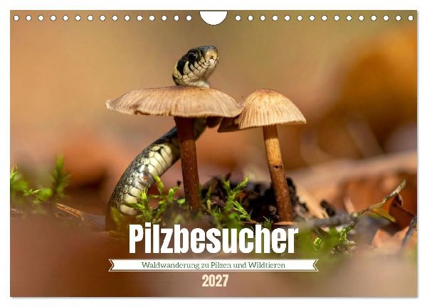 Pilzbesucher (Wandkalender 2027 DIN A4 quer), CALVENDO Monatskalender