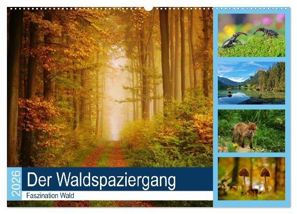 Der Waldspaziergang (Wandkalender 2026 DIN A2 quer), CALVENDO Monatskalender