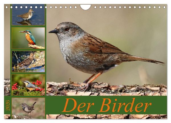 Der Birder (Wandkalender 2026 DIN A4 quer), CALVENDO Monatskalender