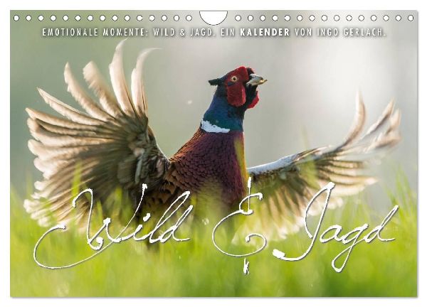 Emotionale Momente: Wild und Jagd. (Wandkalender 2026 DIN A4 quer), CALVENDO Monatskalender