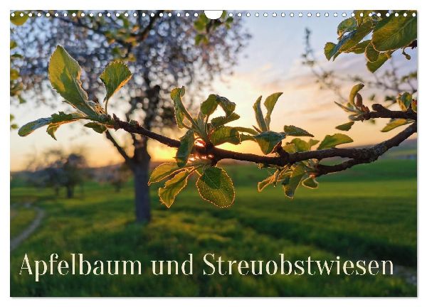 Apfelbaum und Streuobstwiesen (Wandkalender 2026 DIN A3 quer), CALVENDO Monatskalender