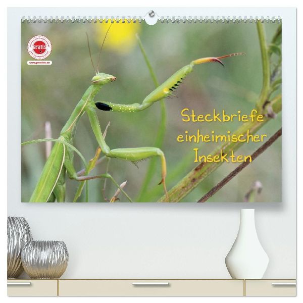 GEOclick Lernkalender: Insekten (hochwertiger Premium Wandkalender 2026 DIN A2 quer), Kunstdruck in Hochglanz