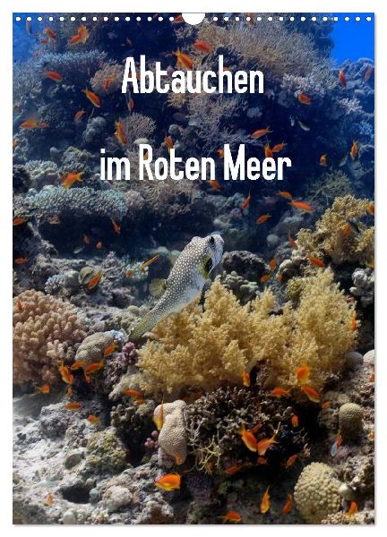 Abtauchen im Roten Meer (Wandkalender 2026 DIN A3 hoch), CALVENDO Monatskalender