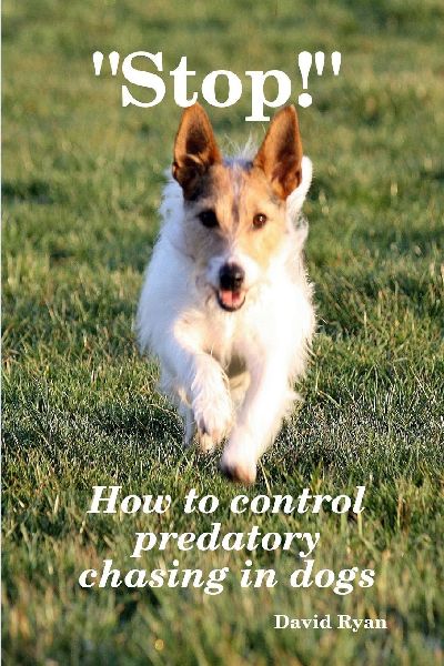 "Stop!" How to control predatory chasing in dogs