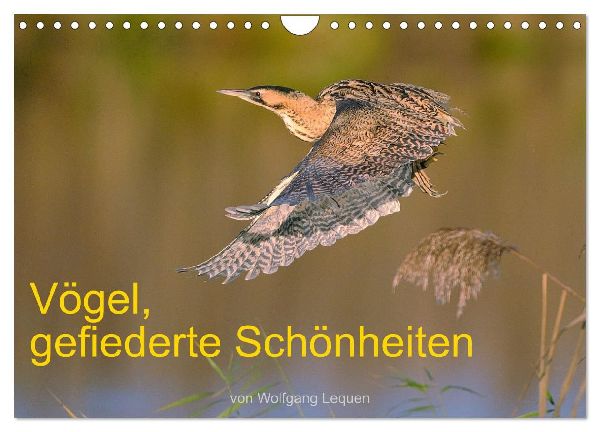 Vögel, Gefiederte Schönheiten (Wandkalender 2026 DIN A4 quer), CALVENDO Monatskalender