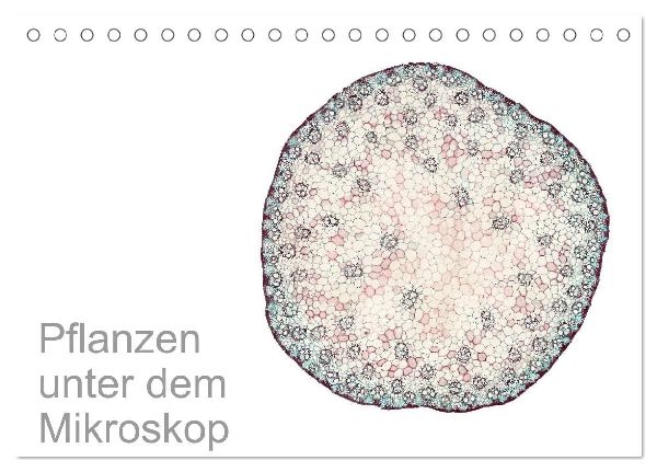 Pflanzen unter dem Mikroskop (Tischkalender 2026 DIN A5 quer), CALVENDO Monatskalender