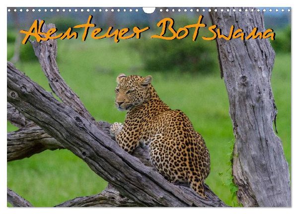 Abenteuer Botswana Afrika - Adventure Botswana (Wandkalender 2026 DIN A3 quer), CALVENDO Monatskalender