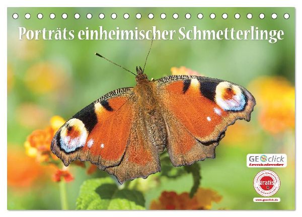 GEOclick Lernkalender: Porträts einheimischer Schmetterlinge (Tischkalender 2026 DIN A5 quer), CALVENDO Monatskalender