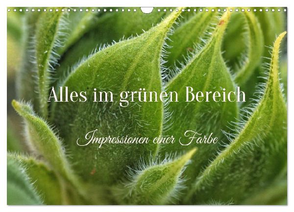Alles im grünen Bereich (Wandkalender 2026 DIN A3 quer), CALVENDO Monatskalender