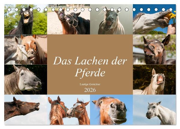 Das Lachen der Pferde - Lustige Gesichter (Tischkalender 2026 DIN A5 quer), CALVENDO Monatskalender
