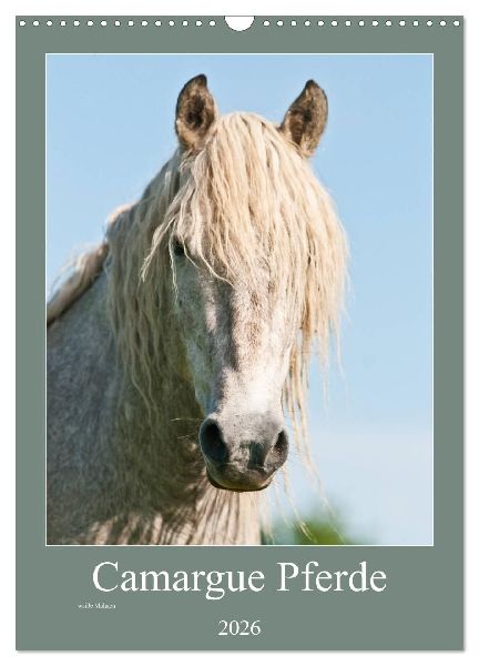 Camargue Pferde - weiße Mähnen (Wandkalender 2026 DIN A3 hoch), CALVENDO Monatskalender