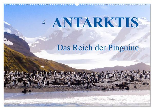 Antarktis - Das Reich der Pinguine (Wandkalender 2026 DIN A2 quer), CALVENDO Monatskalender