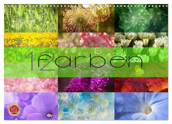 12 Farben (Wandkalender 2026 DIN A3 quer), CALVENDO Monatskalender