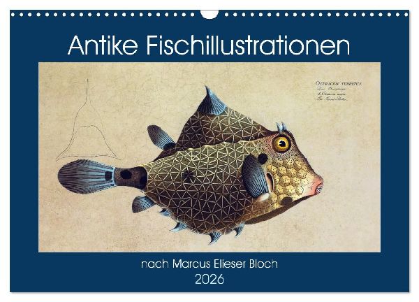 Antike Fischillustrationen nach Marcus Elieser Bloch (Wandkalender 2026 DIN A3 quer), CALVENDO Monatskalender