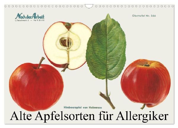Alte Apfelsorten für Allergiker (Wandkalender 2026 DIN A3 quer), CALVENDO Monatskalender