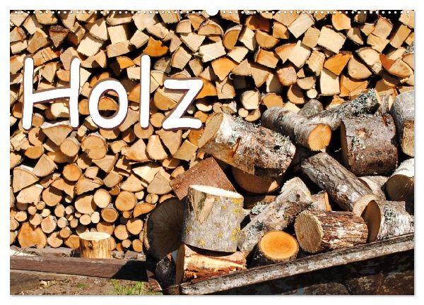 Holz (Wandkalender 2026 DIN A2 quer), CALVENDO Monatskalender