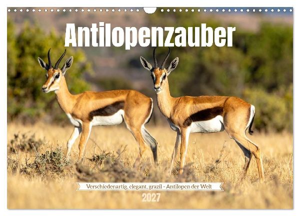 Antilopenzauber (Wandkalender 2027 DIN A3 quer), CALVENDO Monatskalender