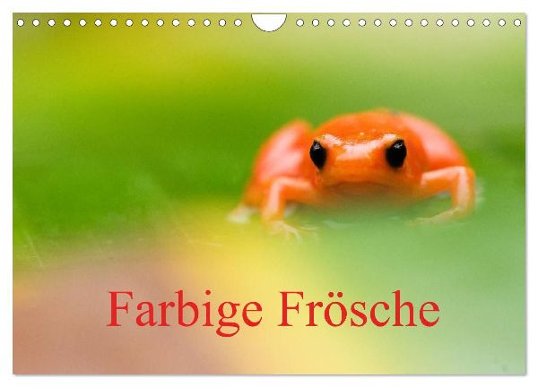 Farbige Frösche (Wandkalender 2026 DIN A4 quer), CALVENDO Monatskalender