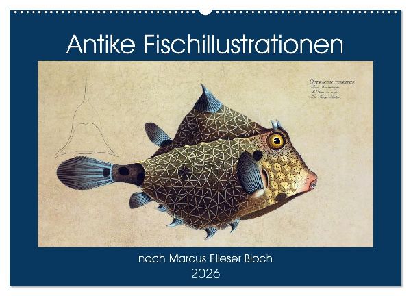 Antike Fischillustrationen nach Marcus Elieser Bloch (Wandkalender 2026 DIN A2 quer), CALVENDO Monatskalender