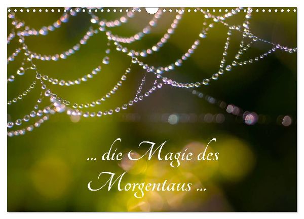 ... die Magie des Morgentaus ... (Wandkalender 2026 DIN A3 quer), CALVENDO Monatskalender