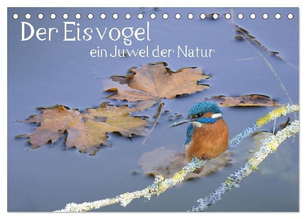 Der Eisvogel, ein Juwel der Natur (Tischkalender 2026 DIN A5 quer), CALVENDO Monatskalender