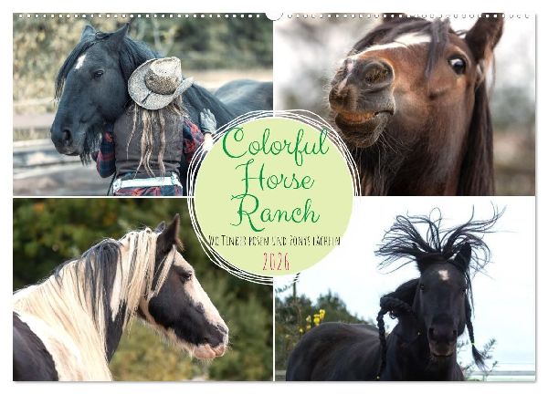 Colorful Horse Ranch - Wo Tinker posen und Ponys lächeln (Wandkalender 2026 DIN A2 quer), CALVENDO Monatskalender