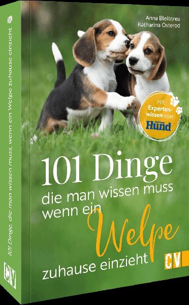 101 Dinge, die man wissen muss, wenn ein Welpe zuhause einzieht