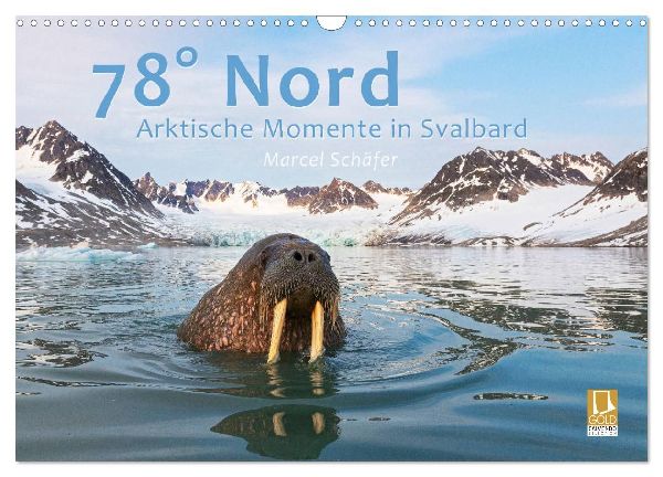 78° Nord - Arktische Momente in Svalbard (Wandkalender 2026 DIN A3 quer), CALVENDO Monatskalender