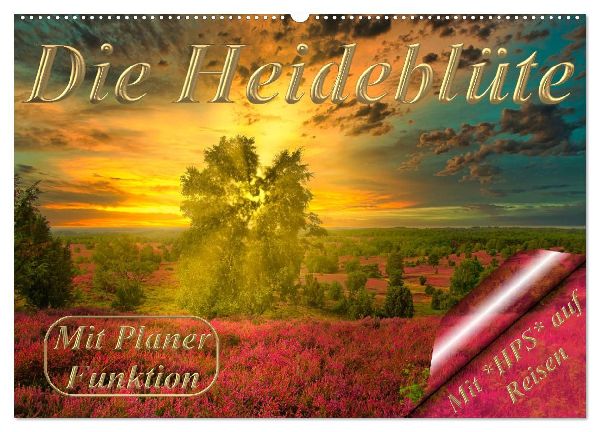 Die Heideblüte (Wandkalender 2026 DIN A2 quer), CALVENDO Monatskalender